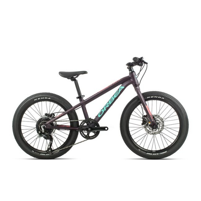 Orbea MX Team Disc 20'' 020